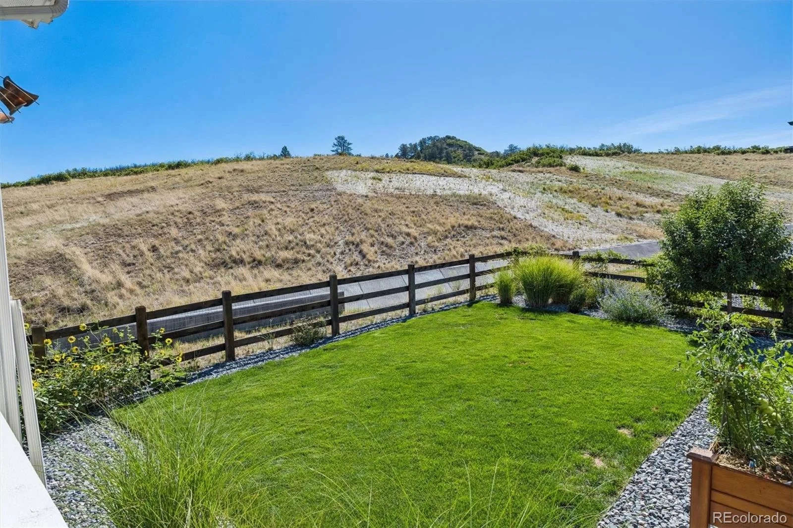 487 Scrubjay Circle Castle Rock CO 80104 | MLS #REC3429177 08202026183855 1600 9