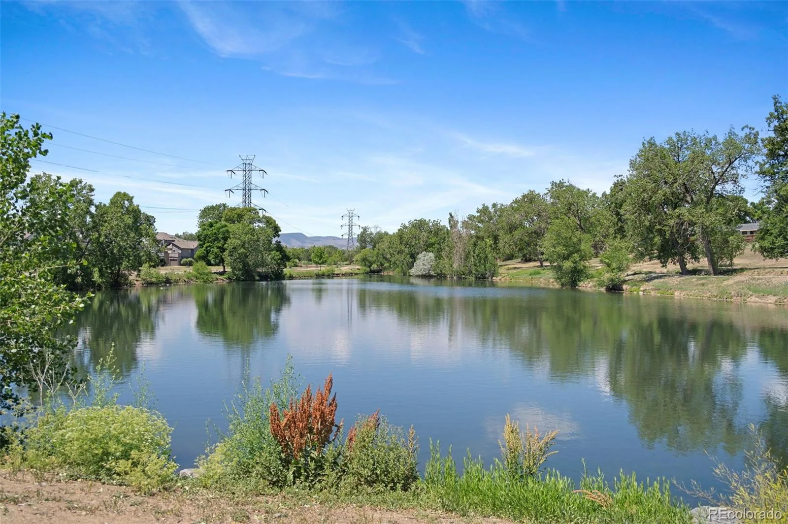 5317 Field Circle Arvada CO 80002 MLS #REC3437828 06182026013332 1600 29