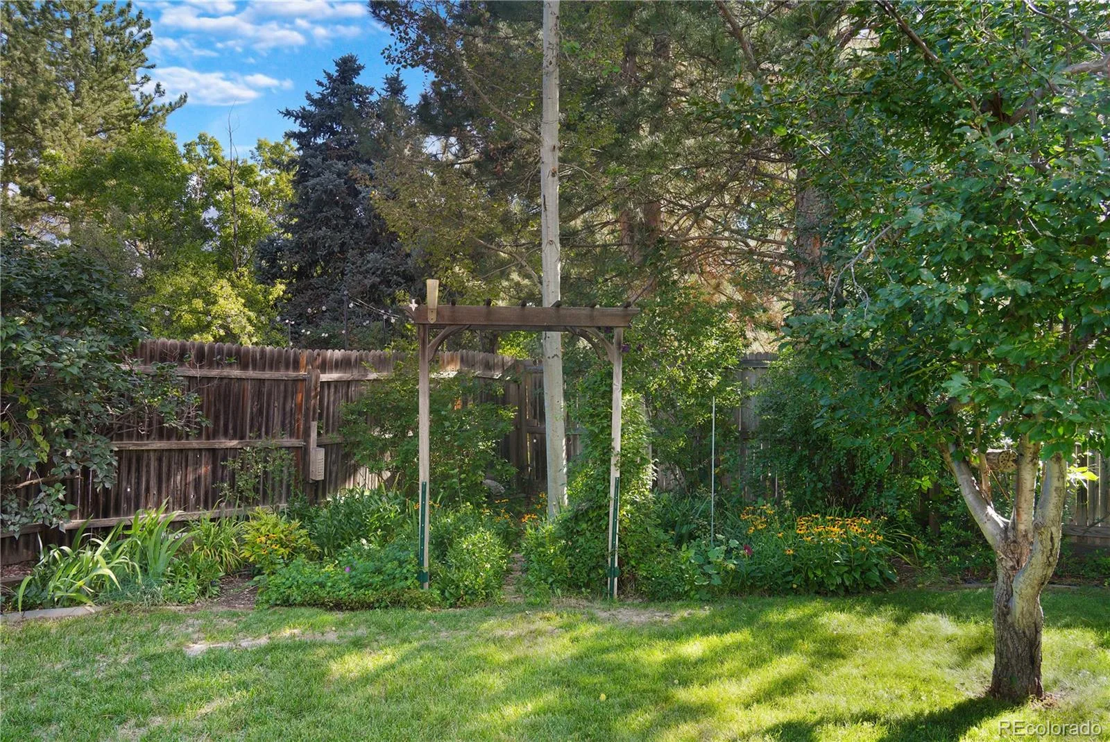 3244 S Niagara Street Denver CO 80224 | MLS #REC3438071 10152026164005 1600 41