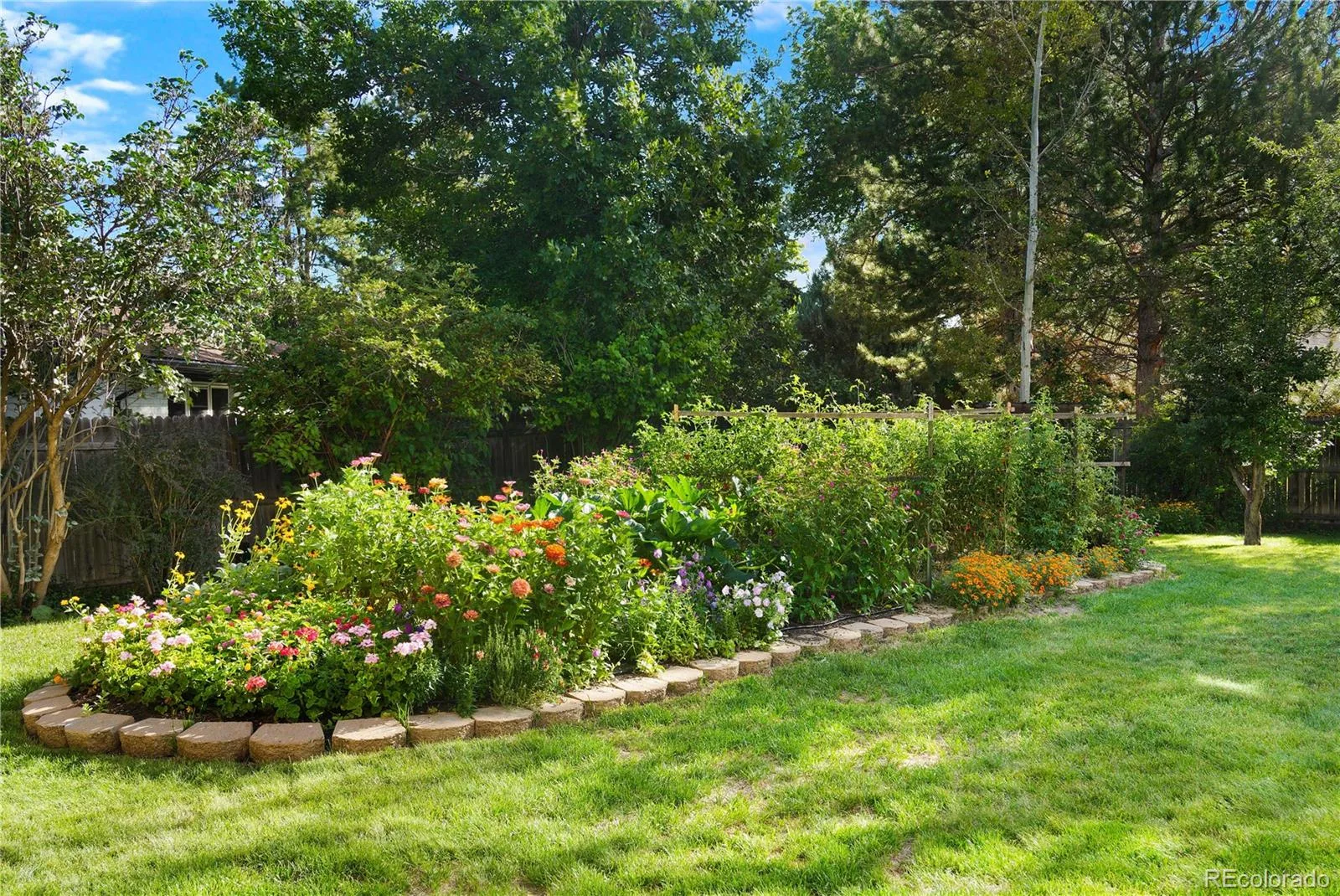 3244 S Niagara Street Denver CO 80224 | MLS #REC3438071 10152026164005 1600 42
