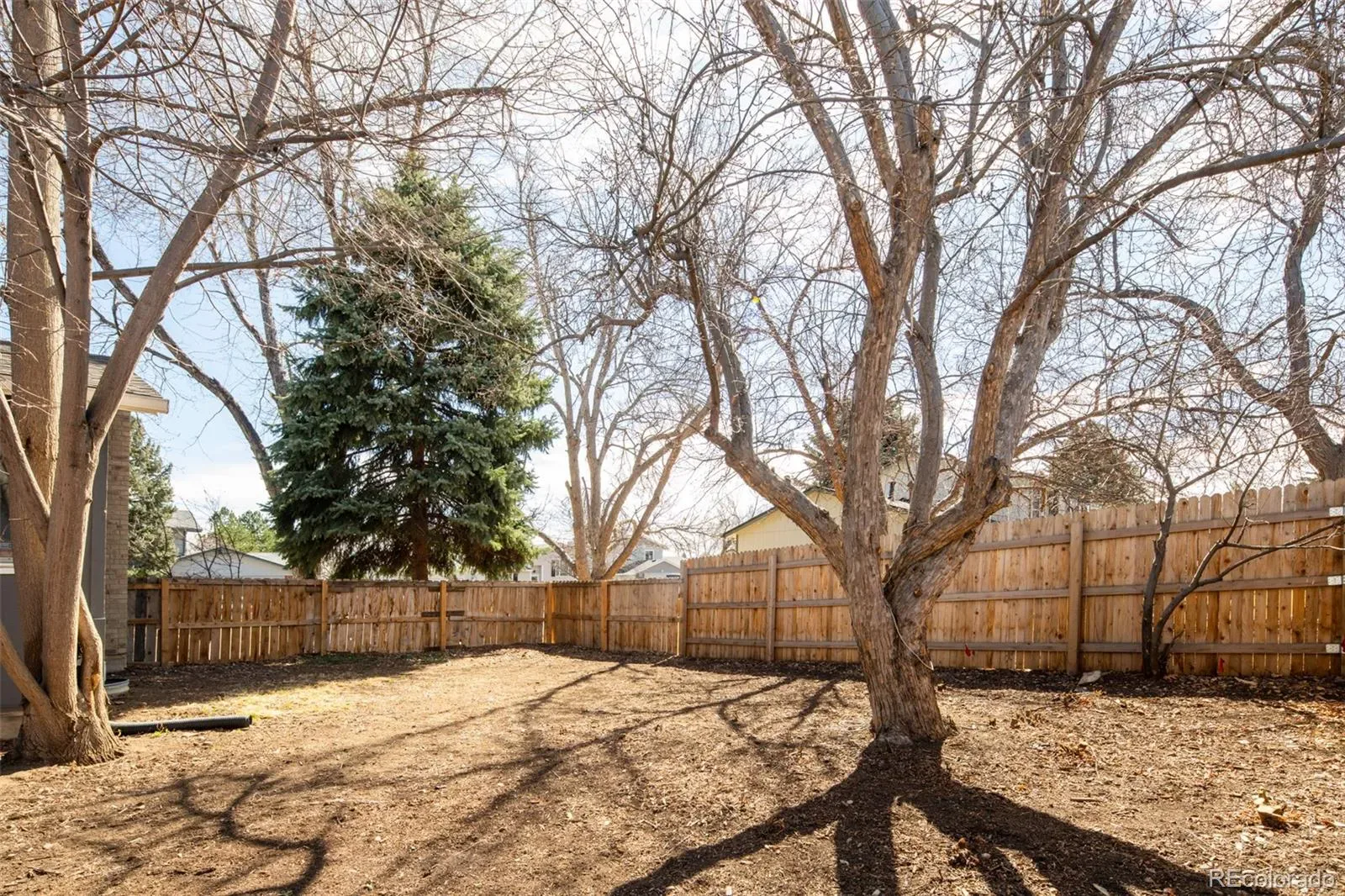 03122026152428 1600 30