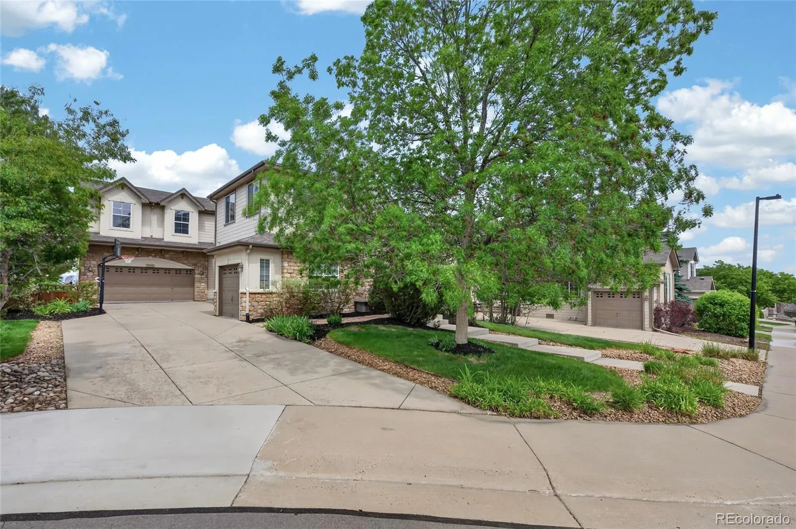 2695 Paw Print Way Castle Rock CO 80109 MLS #REC3442933 06262026234450 1600 3