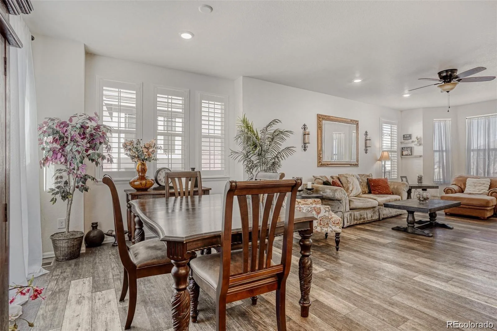 17703 Olive Street Broomfield CO 80023 | MLS #REC3451776 08042026200827 1600 15