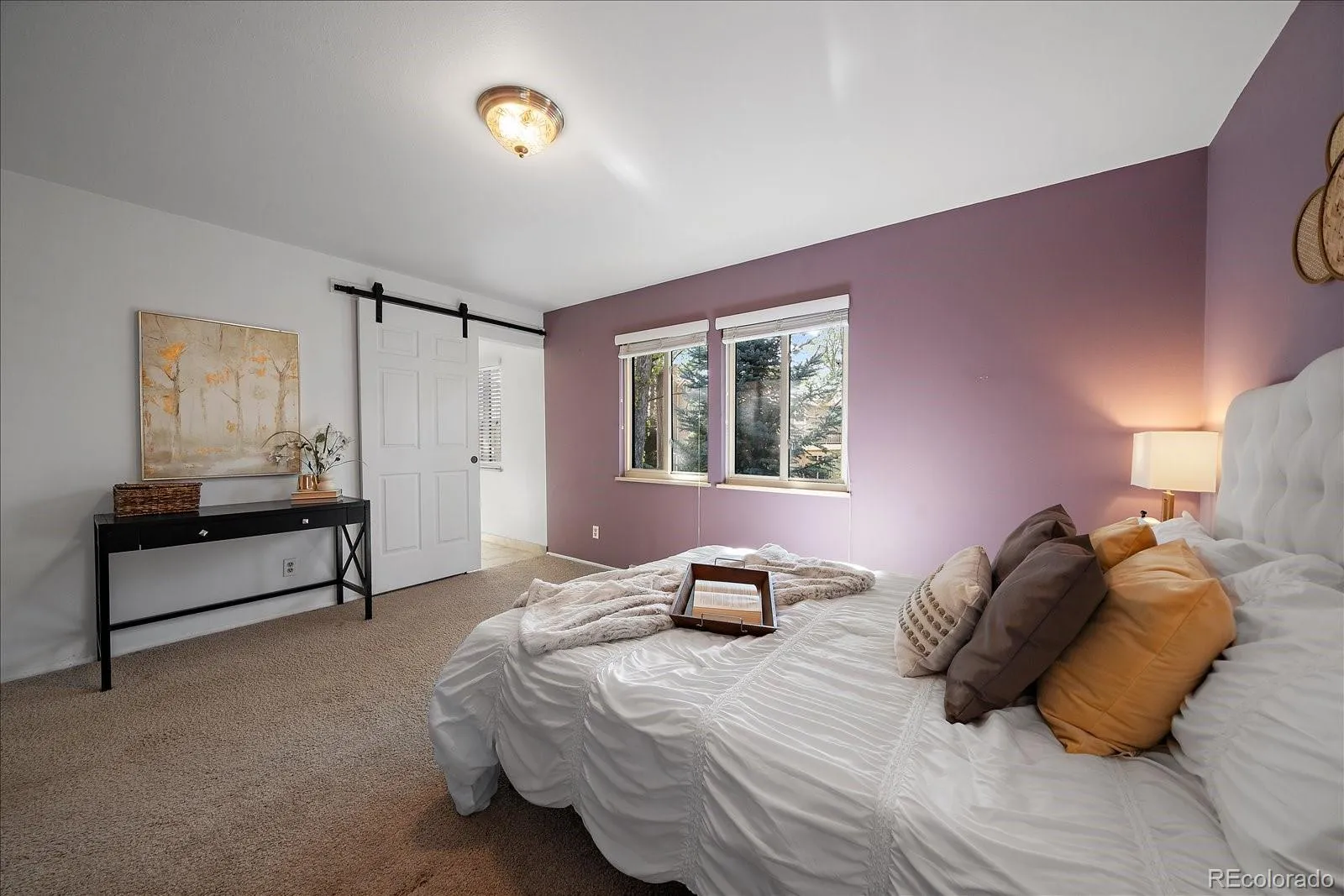 6477 S Hill Street Littleton CO 80120 MLS #REC3458465 04222026230615 1600 14