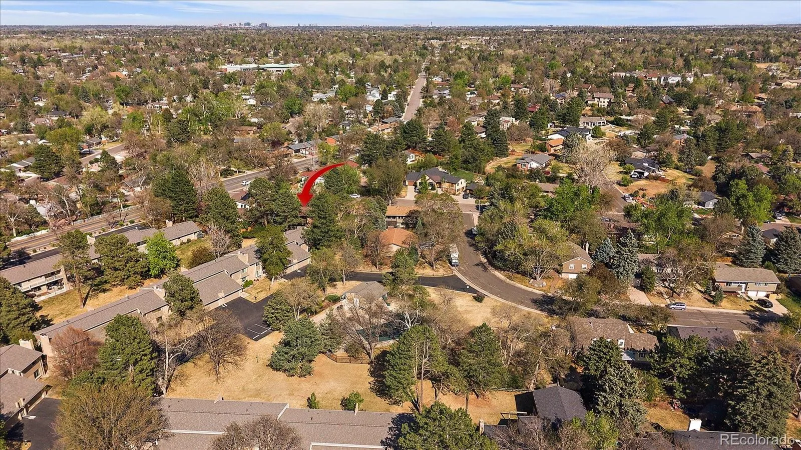6477 S Hill Street Littleton CO 80120 MLS #REC3458465 04222026230615 1600 44
