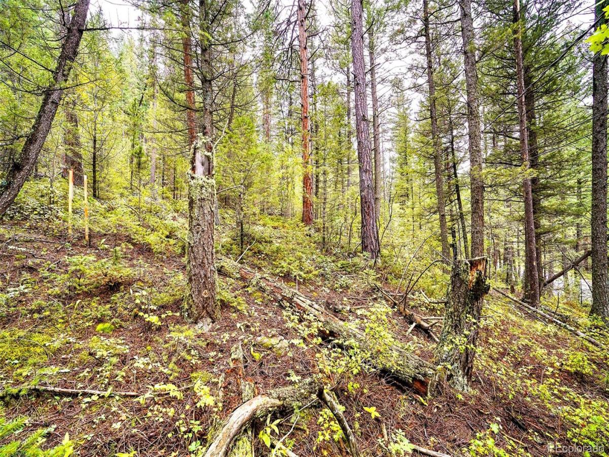 MLS #REC3467948 image #0