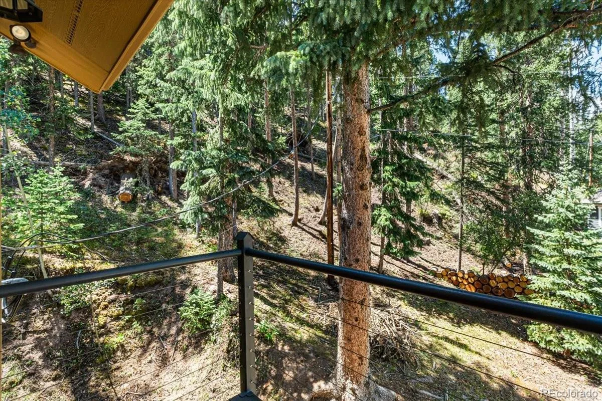 34038 Forest Estates Road Evergreen CO 80439 | MLS #REC3467988 07292026221015 1200 22
