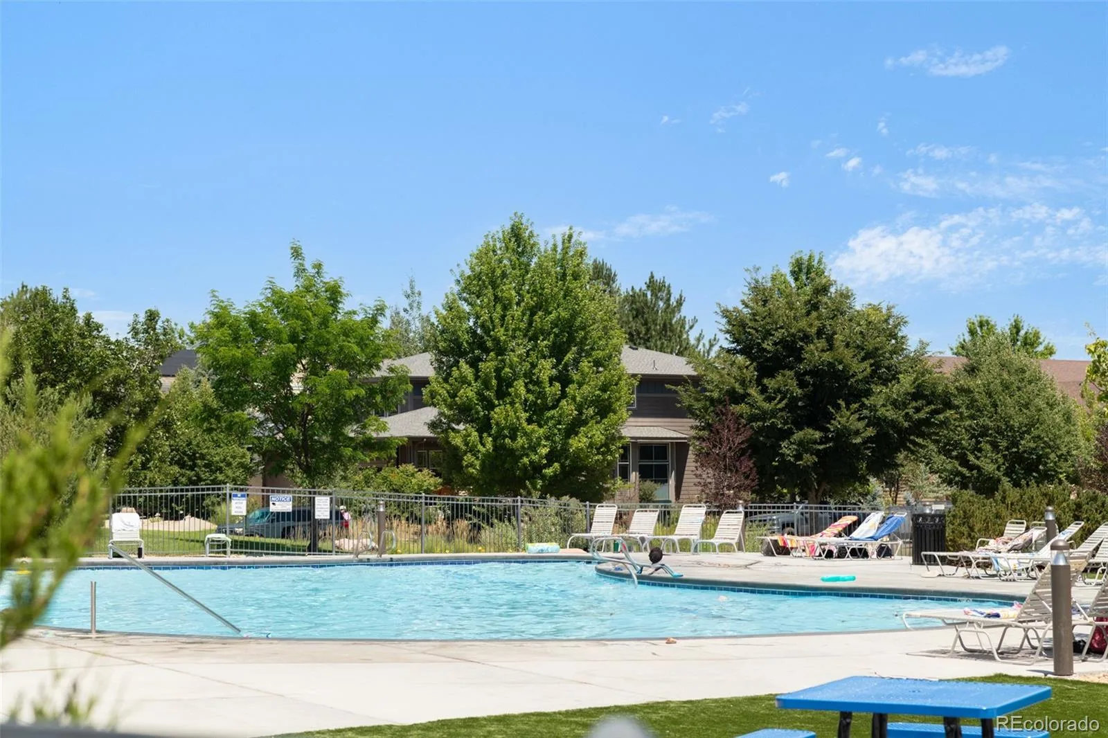 1155 Petras Street Erie CO 80516 | MLS #REC3471507 08292026134232 1600 39