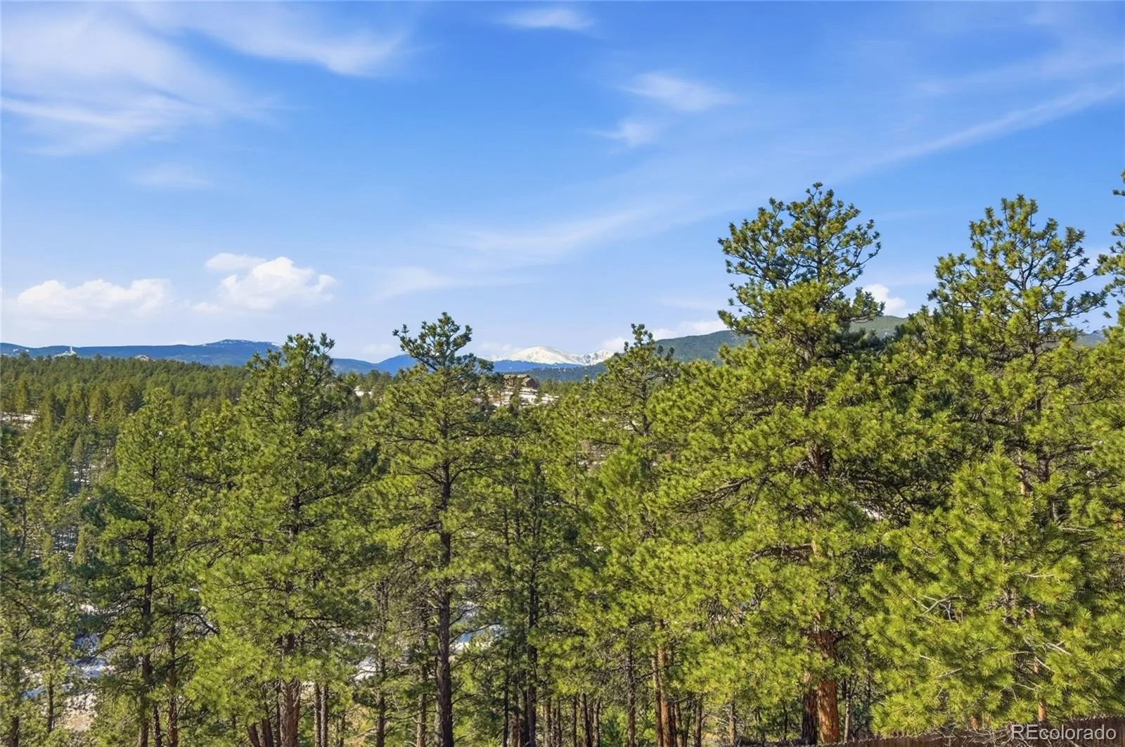 2050 Kerr Gulch Road Evergreen CO 80439 | MLS #REC3472140 08042026171933 1600 42