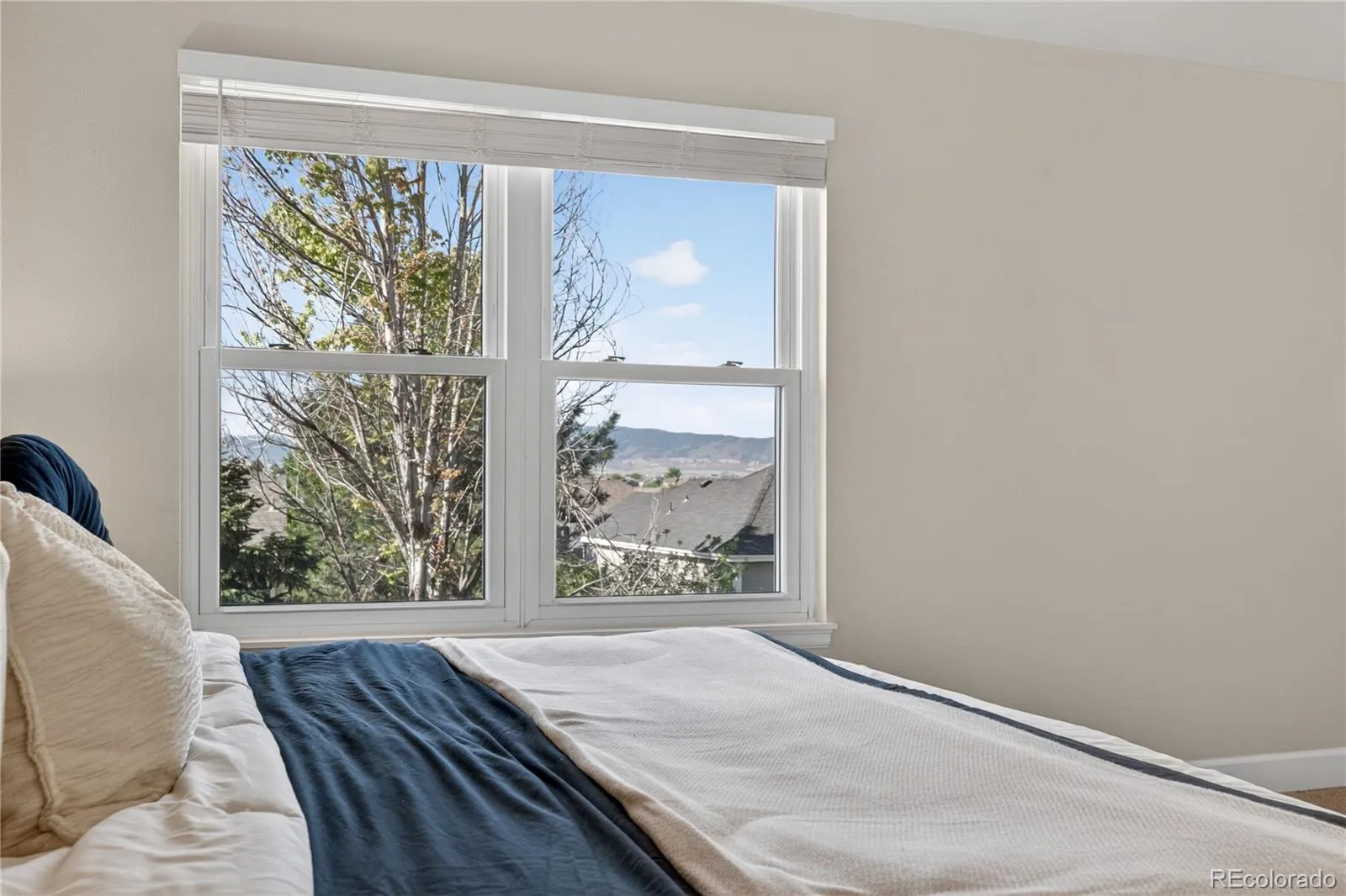1774 Spring Water Place Highlands Ranch CO 80129 MLS #REC3475059 05142026225948 1600 20