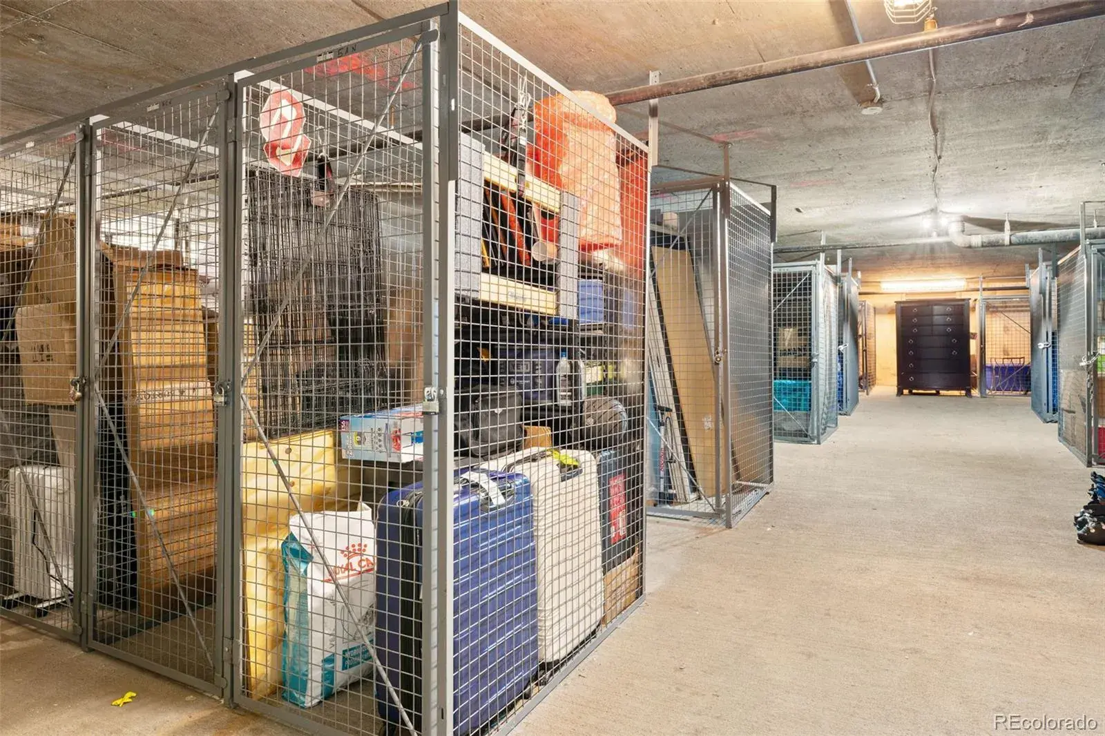 02202026000703 1600 45