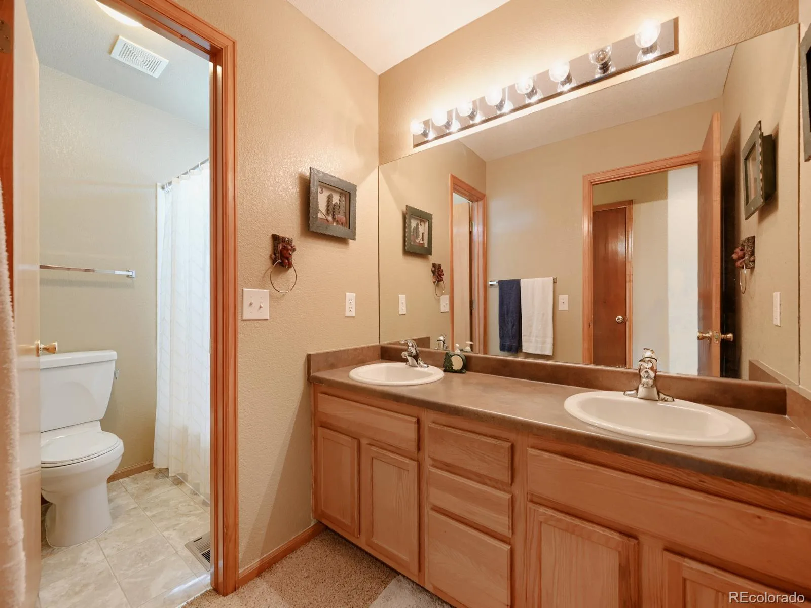 2509 E 148th Drive Brighton CO 80602 | MLS #REC3483872 07102026003202 1600 20