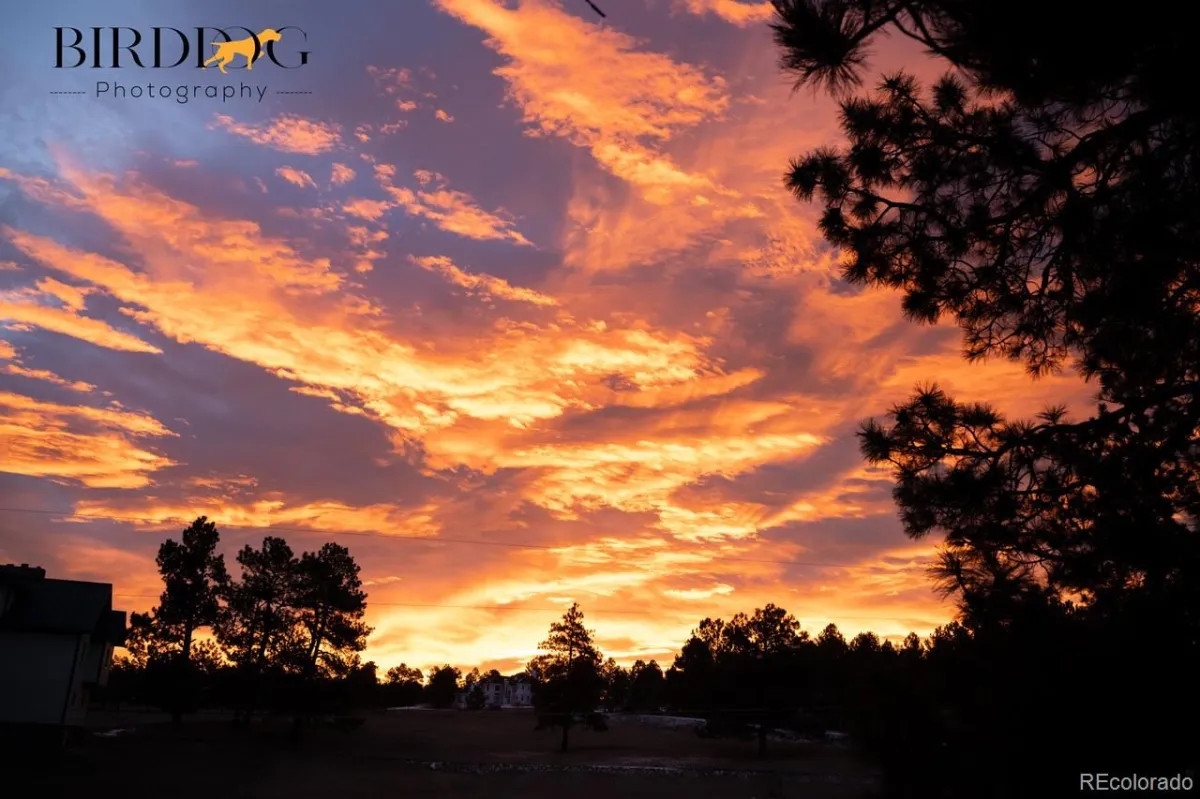 7905 Ponderosa Lane Parker CO 80138 | MLS #REC3491433 05092026022414 1200 46