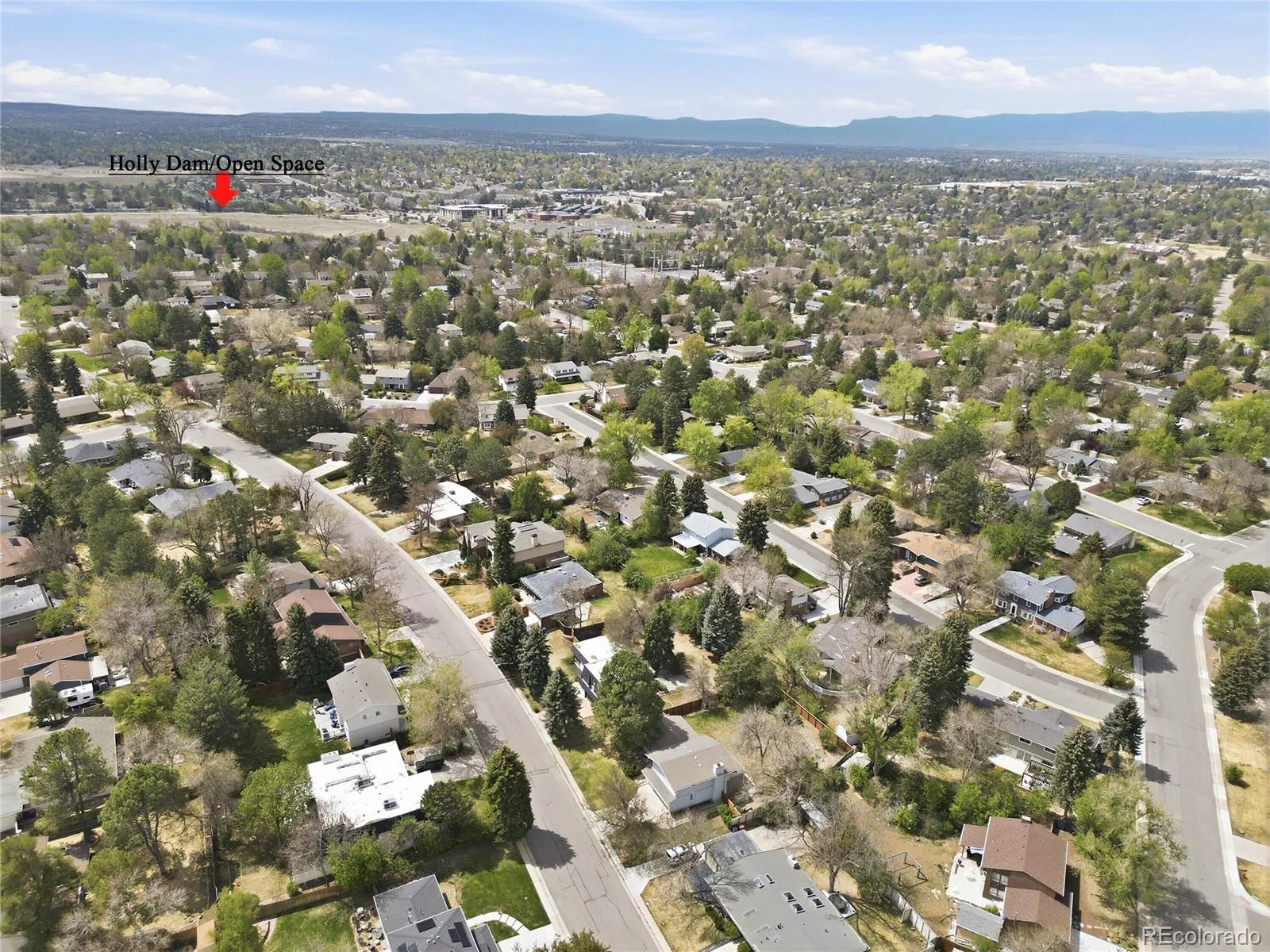 6081 S Kearney Street Centennial CO 80111 | MLS #REC3497275 08232026024611 1600 49