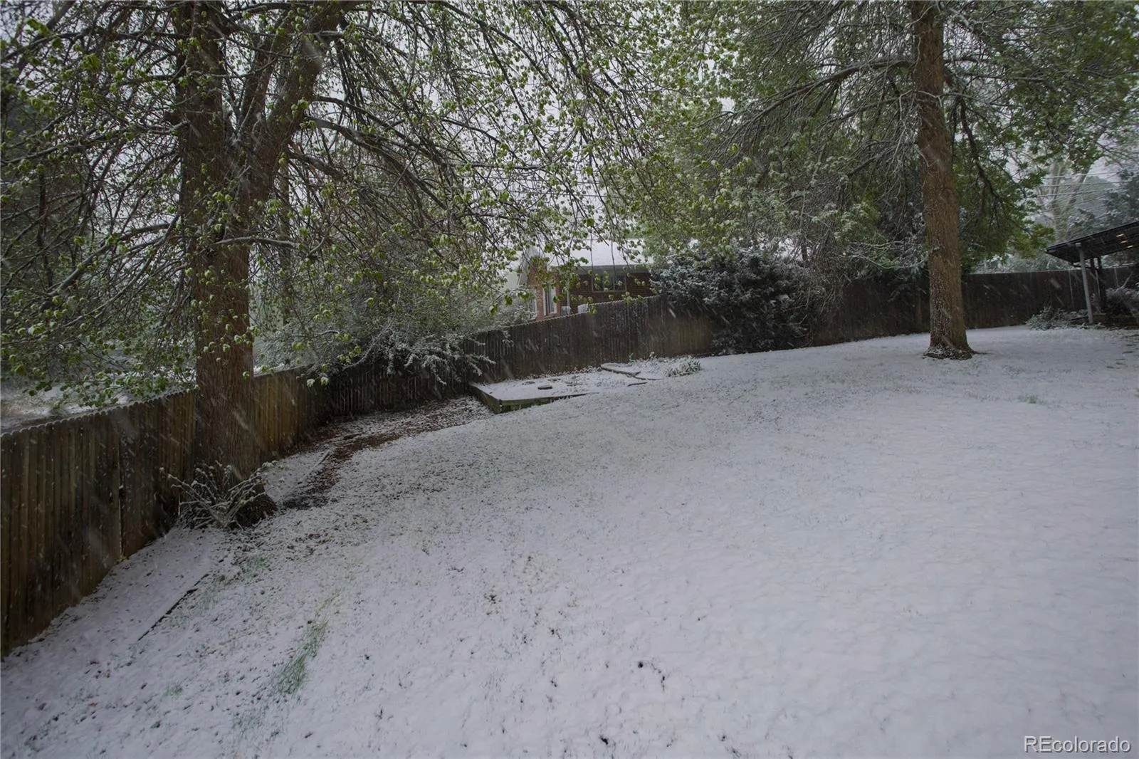 04202026155339 1600 40