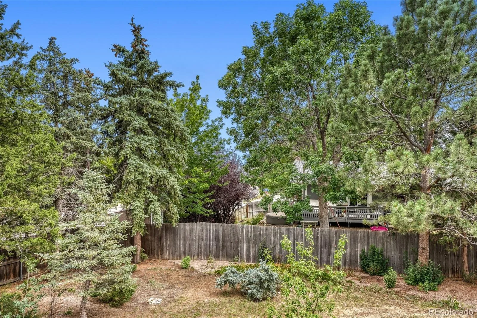 13938 W Baker Place Lakewood CO 80228 | MLS #REC3514002 07312026032538 1600 20