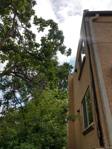 1151 N Marion Street #303 Denver CO 80218 | MLS #REC3514586 09252026213119 800 22