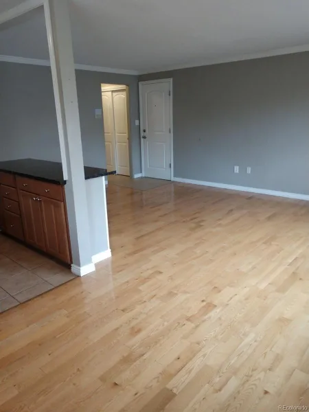 1151 N Marion Street #303 Denver CO 80218 | MLS #REC3514586 09252026213119 800 6