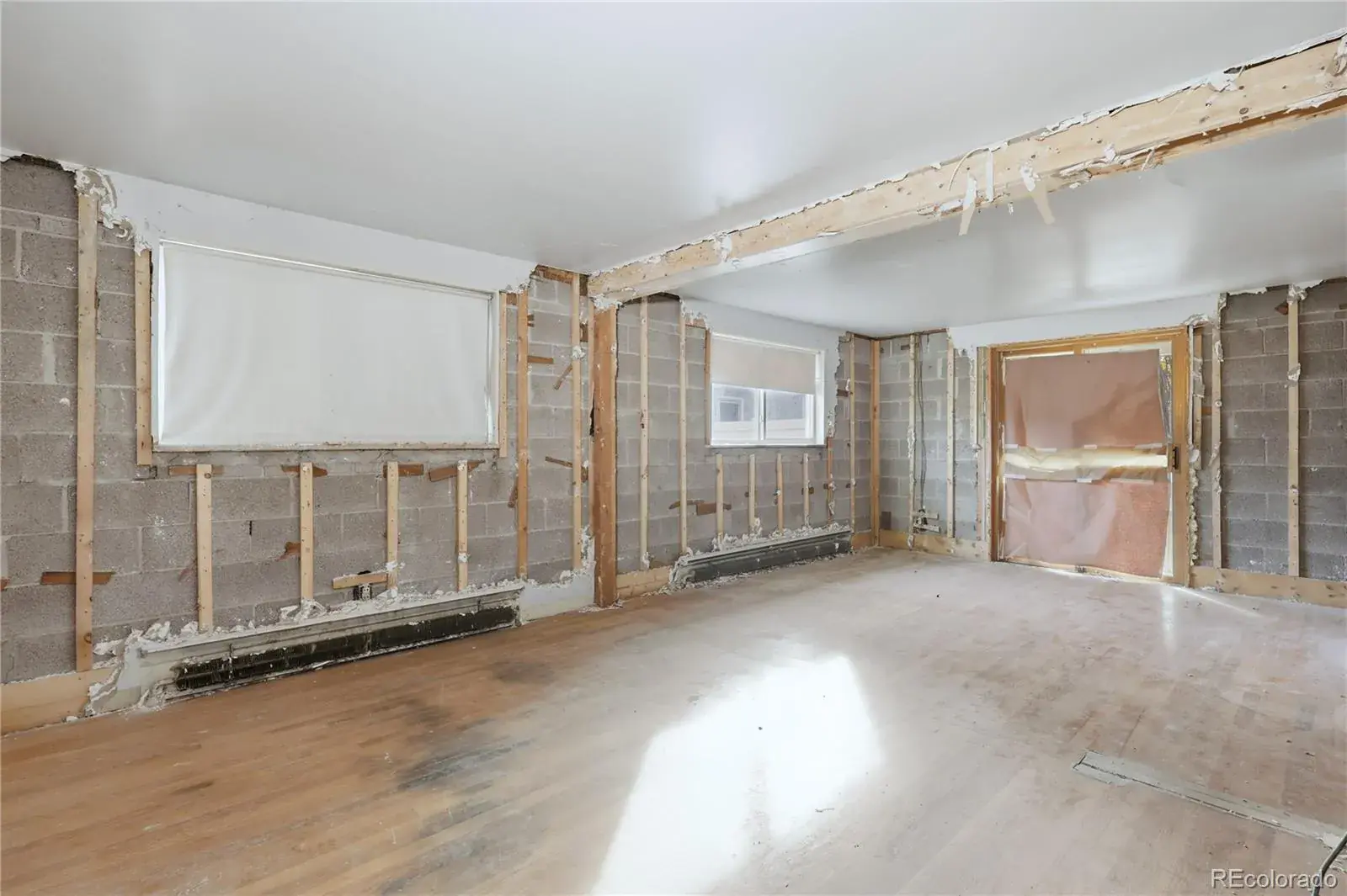 11132025224719 1600 15