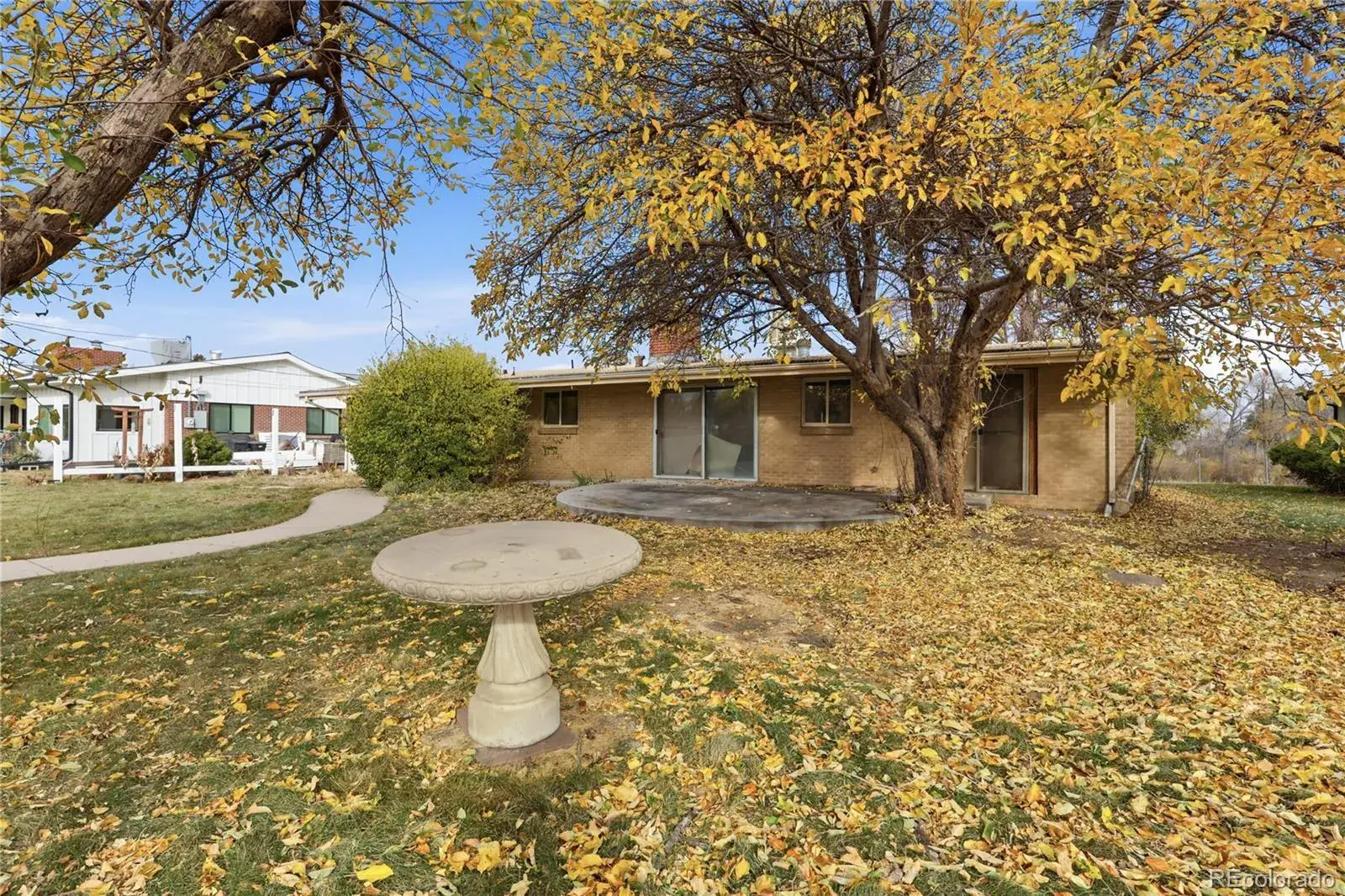 11132025224719 1600 25