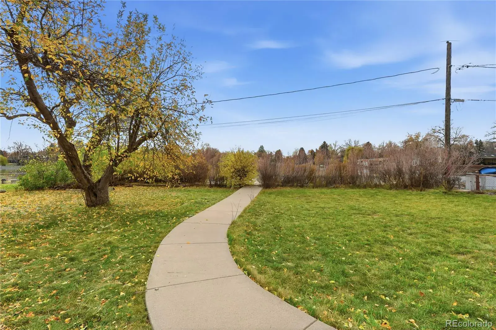 11132025224719 1600 27