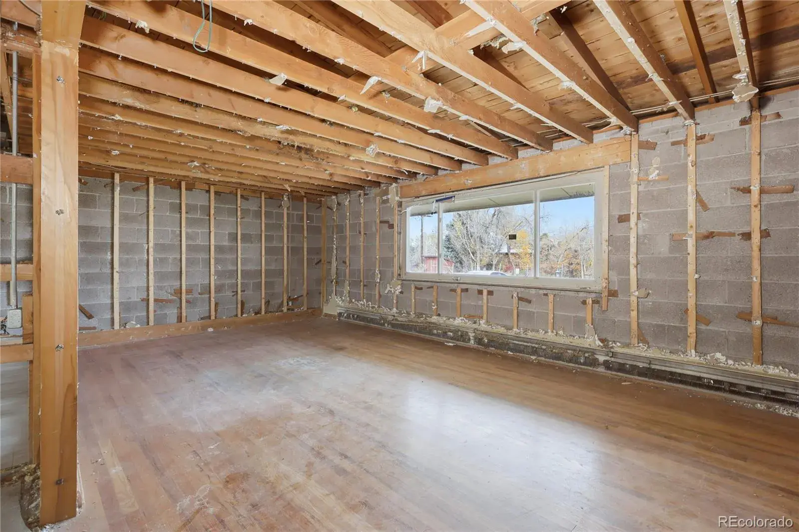 11132025224719 1600 4