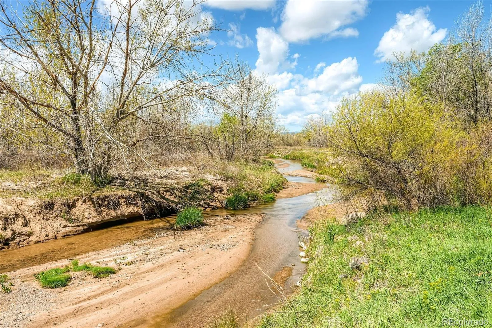 14765 E Aberdeen E Avenue Centennial CO 80016 MLS #REC3524098 05232026210748 1600 44