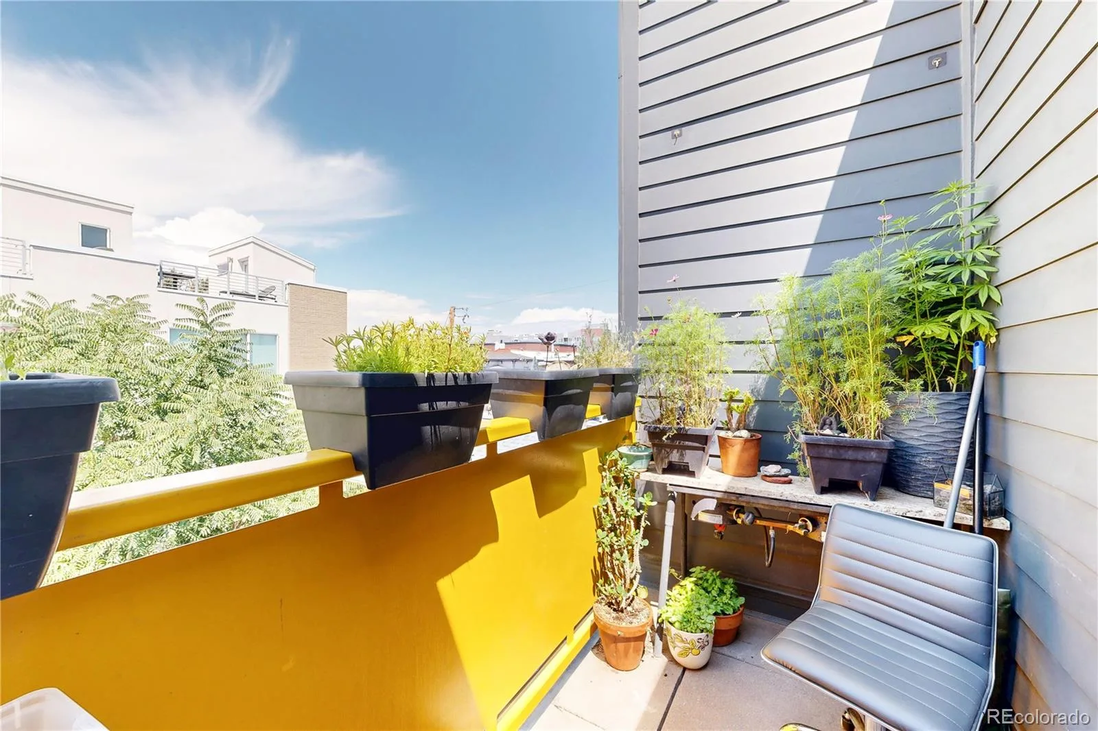 2835 W 24th Avenue #310 Denver CO 80211 | MLS #REC3525890 08052026210559 1600 23