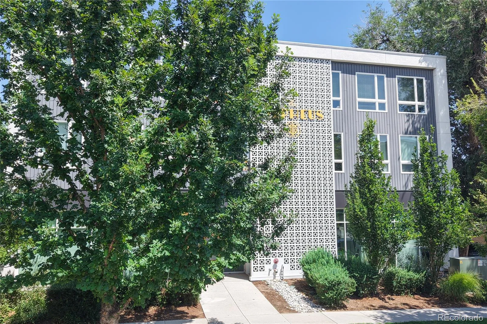2835 W 24th Avenue #310 Denver CO 80211 | MLS #REC3525890 08052026210559 1600 24