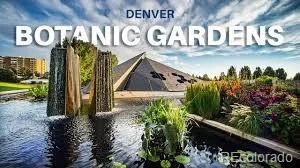 1060 N Washington Street #1A Denver CO 80203 | MLS #REC3529852 08172026164253 300 3