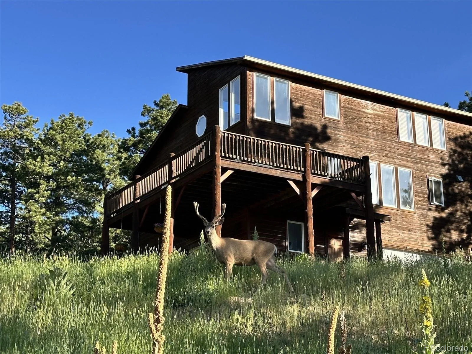 11743 Hillcrest Road Golden CO 80403 | MLS #REC3533247 07152026073936 1600 5