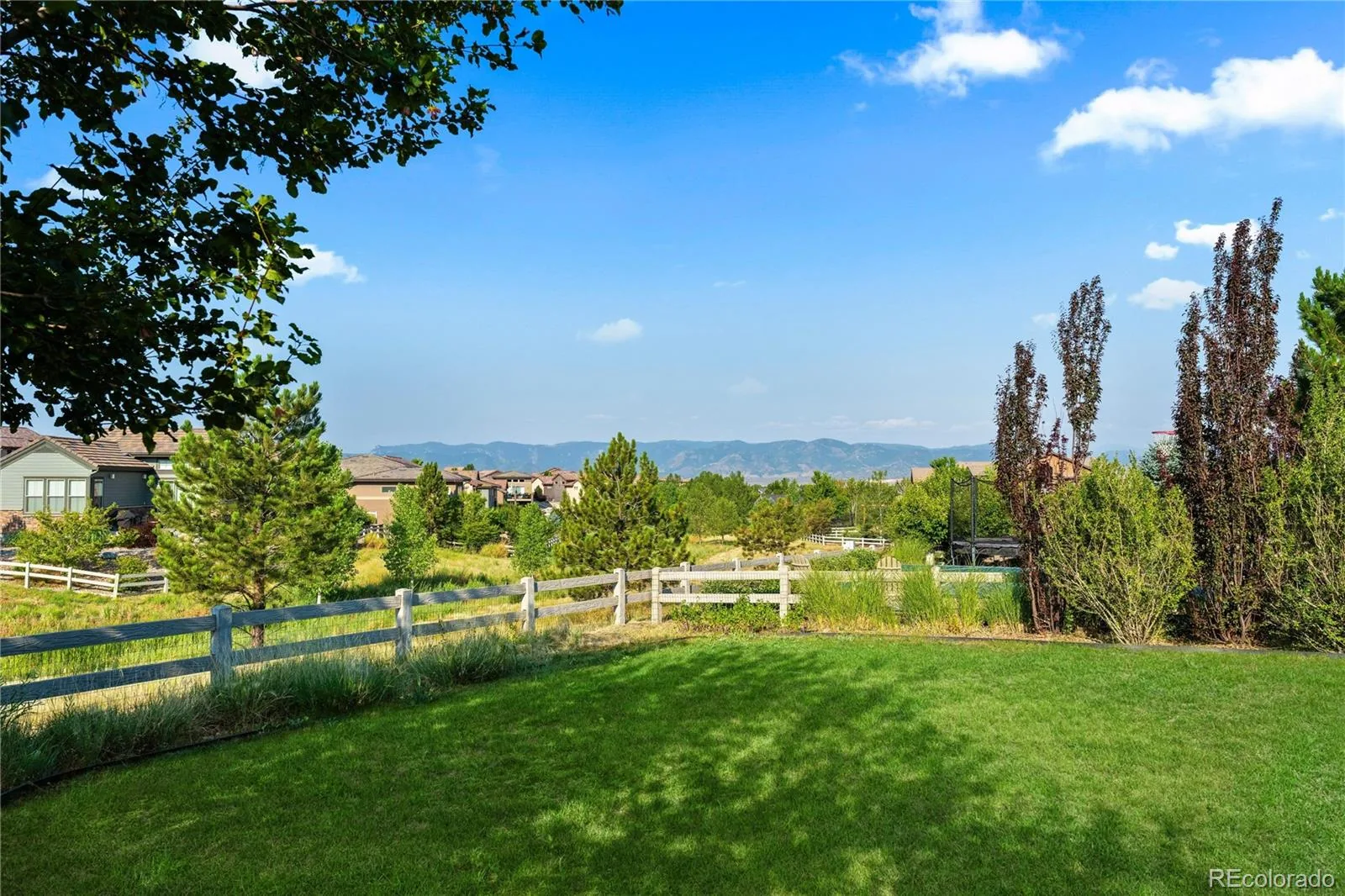 592 Meadowleaf Lane Highlands Ranch CO 80126 | MLS #REC3533603 08062026205025 1600 1