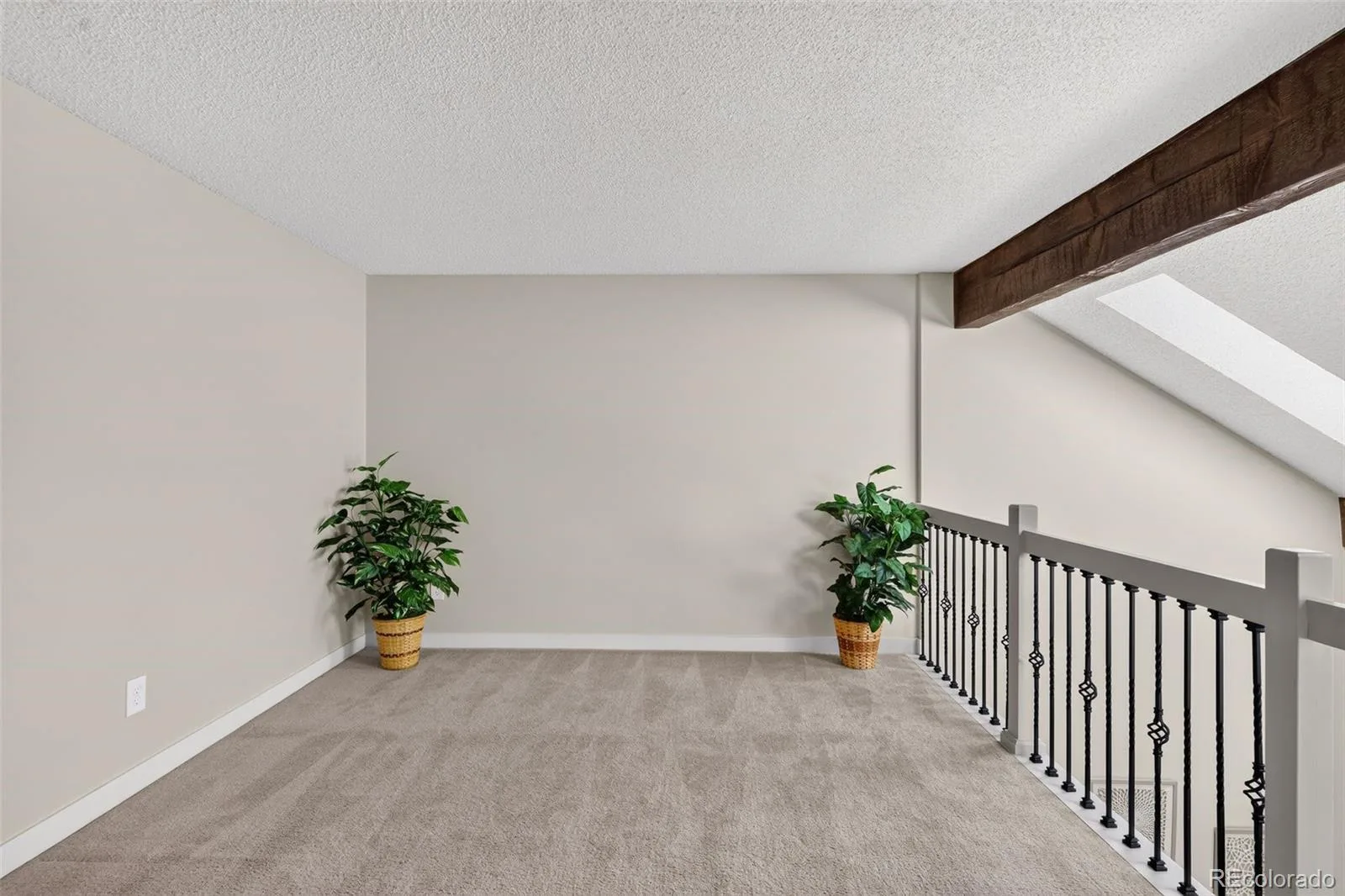 11899 Elk Head Range Road Littleton CO 80127 | MLS #REC3535168 08132026204548 1600 20