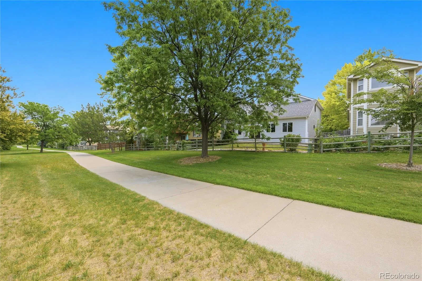 4333 Snowbird Avenue Broomfield CO 80020 MLS #REC3541645 07092026064923 1600 40
