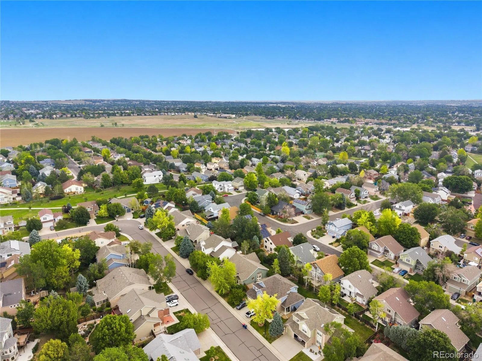 4333 Snowbird Avenue Broomfield CO 80020 MLS #REC3541645 07092026064923 1600 48