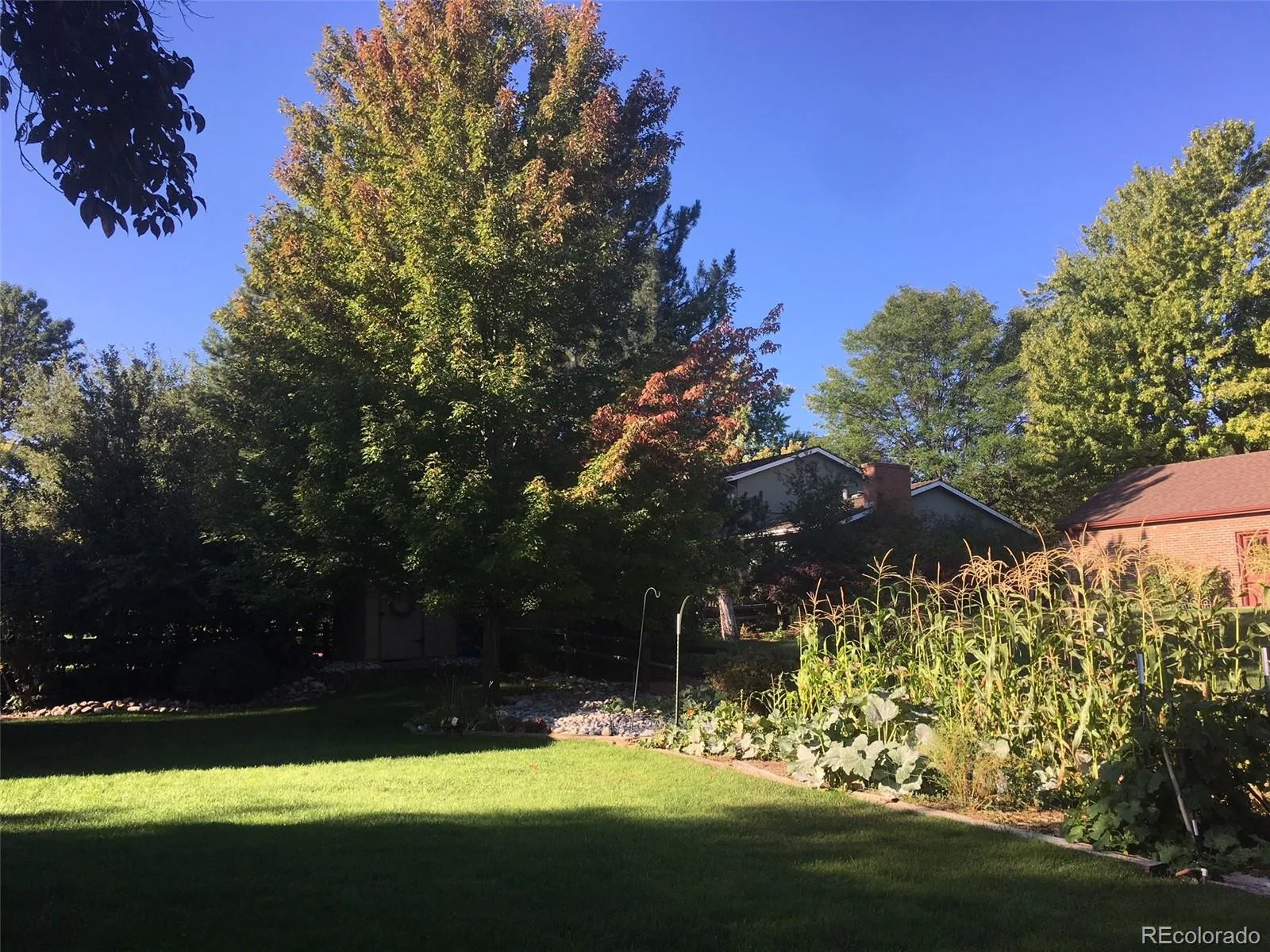 7019 S Windermere Street Littleton CO 80120 MLS #REC3543415 06092026002255 1600 29