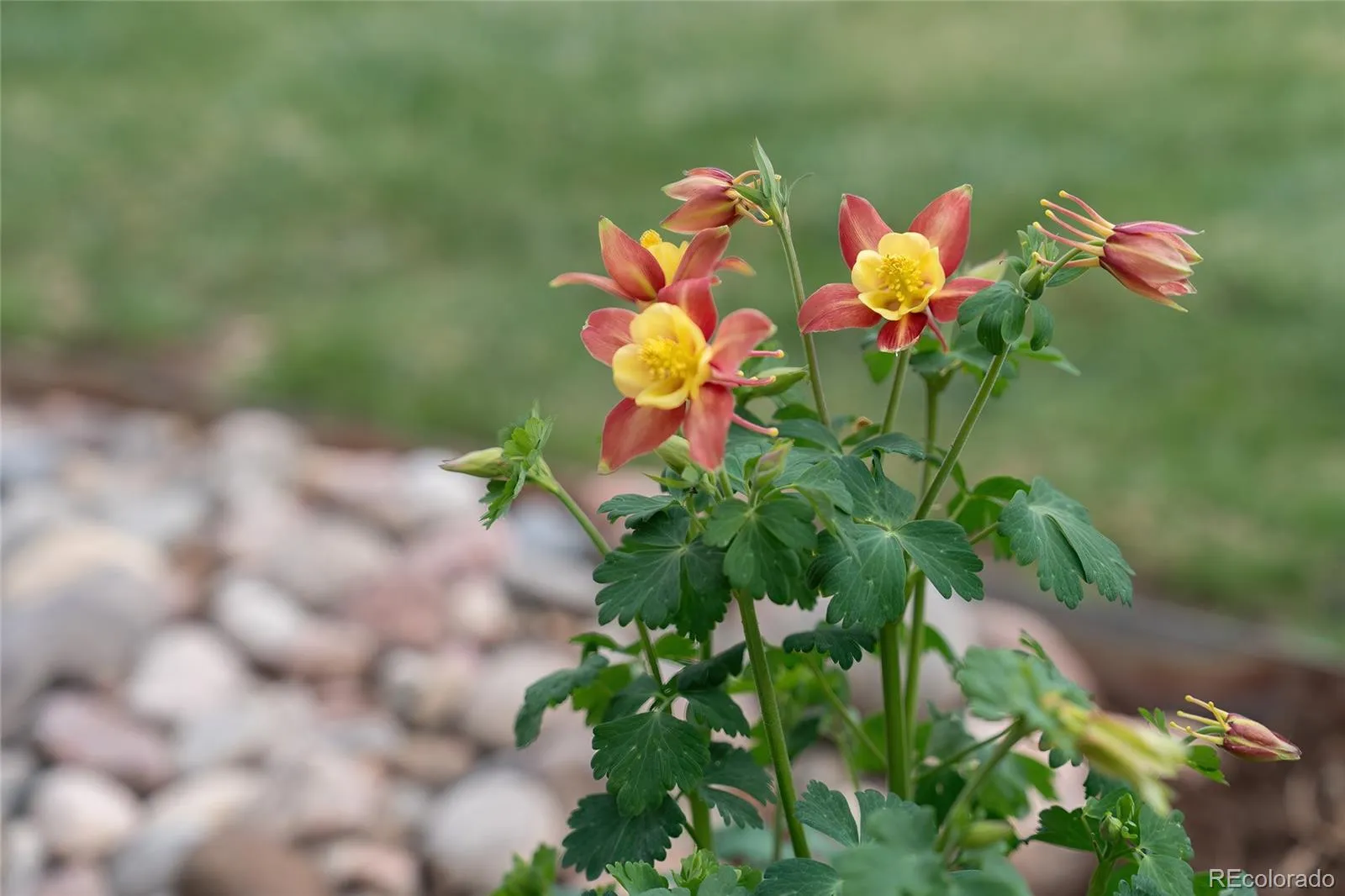 04062026213155 1600 36