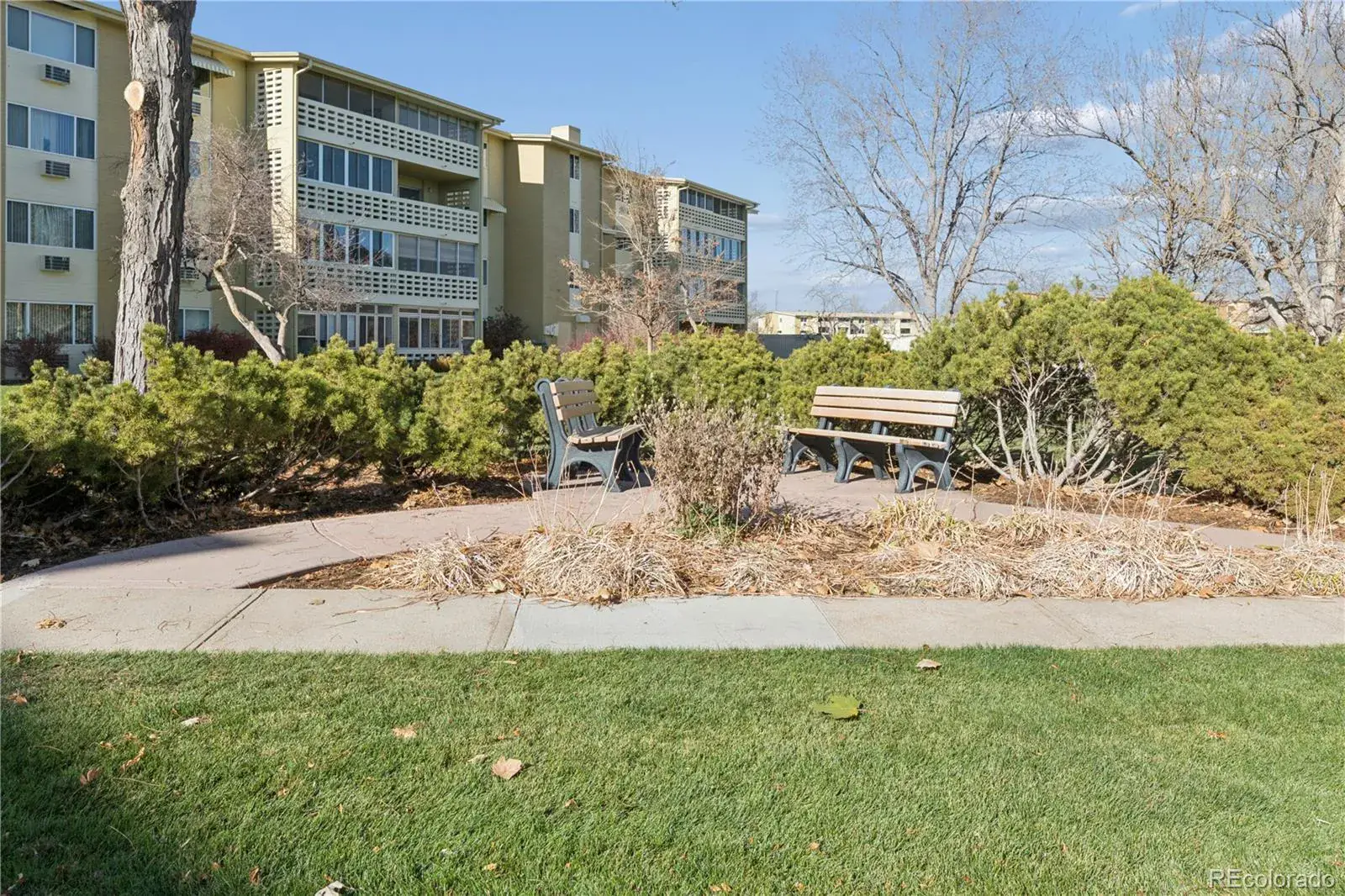 660 S Alton Way #7B Denver CO 80247 MLS #REC3547319 12042025061914 1600 32