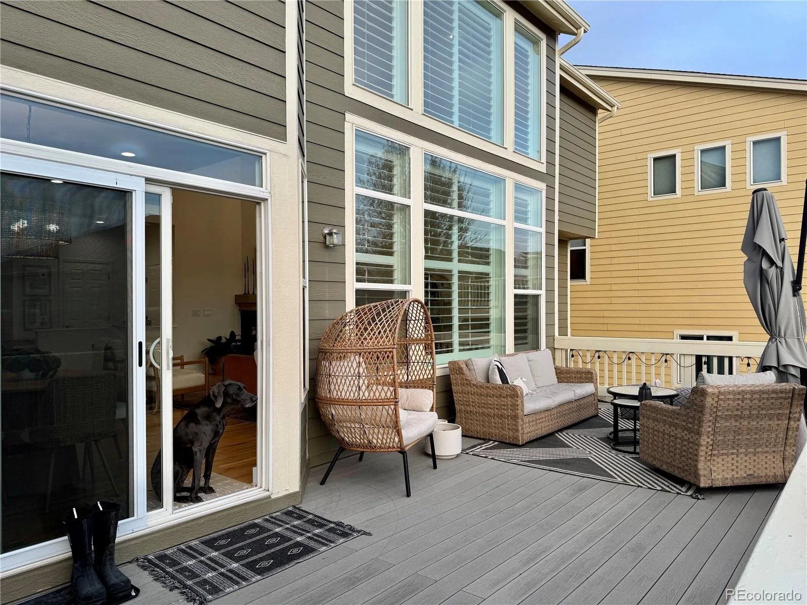 2903 Dragonfly Court Castle Rock CO 80109 MLS #REC3558755 06292026055441 1600 20