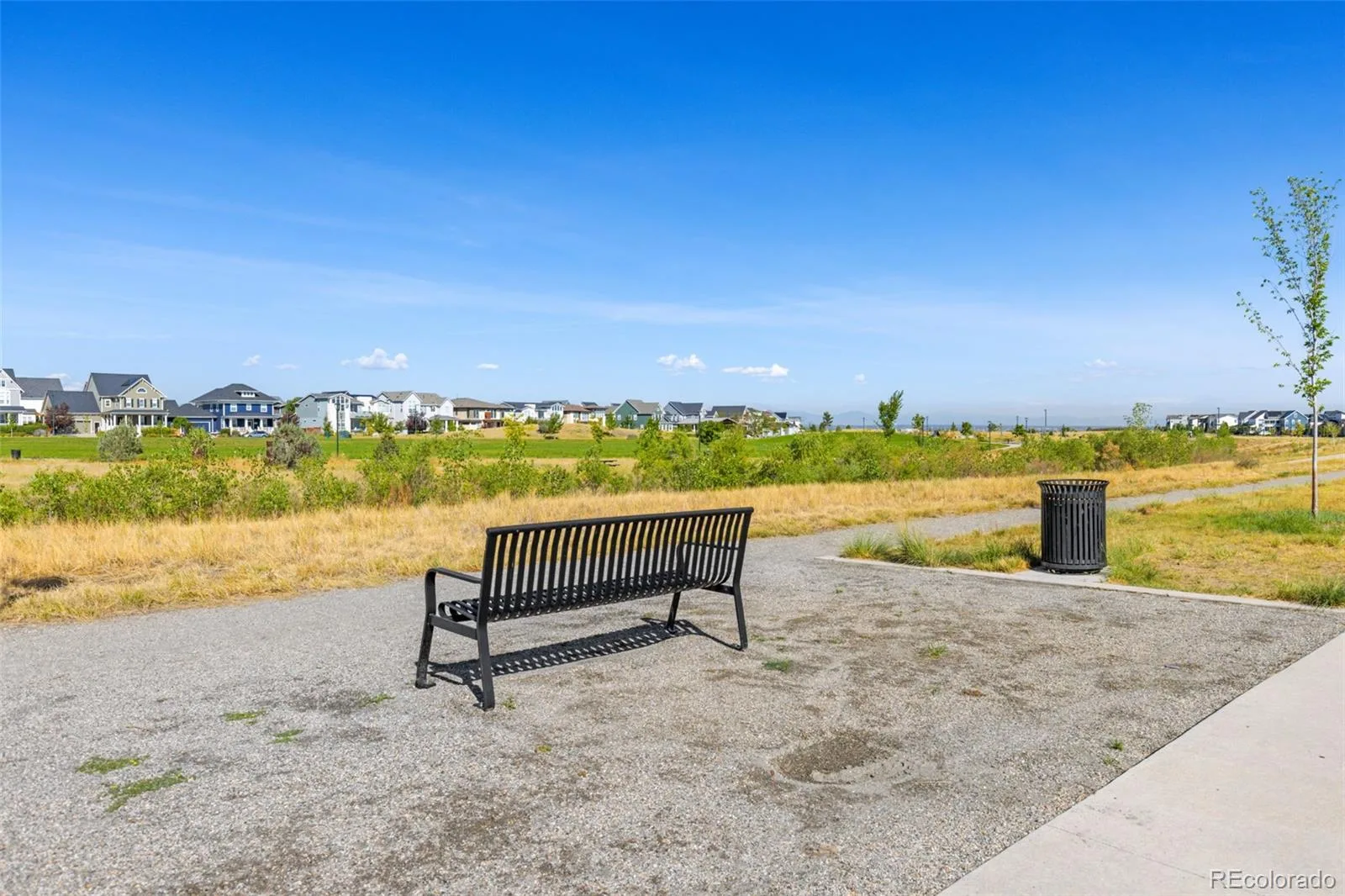 5974 Dallas Street Denver CO 80238 | MLS #REC3561413 08272026202553 1600 45