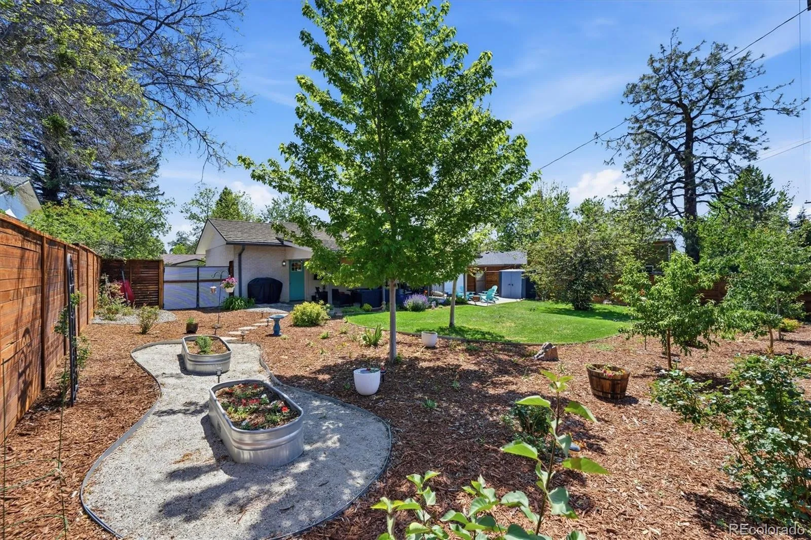 2955 S Zurich Court Denver CO 80236 MLS #REC3562827 05202026231902 1600 18