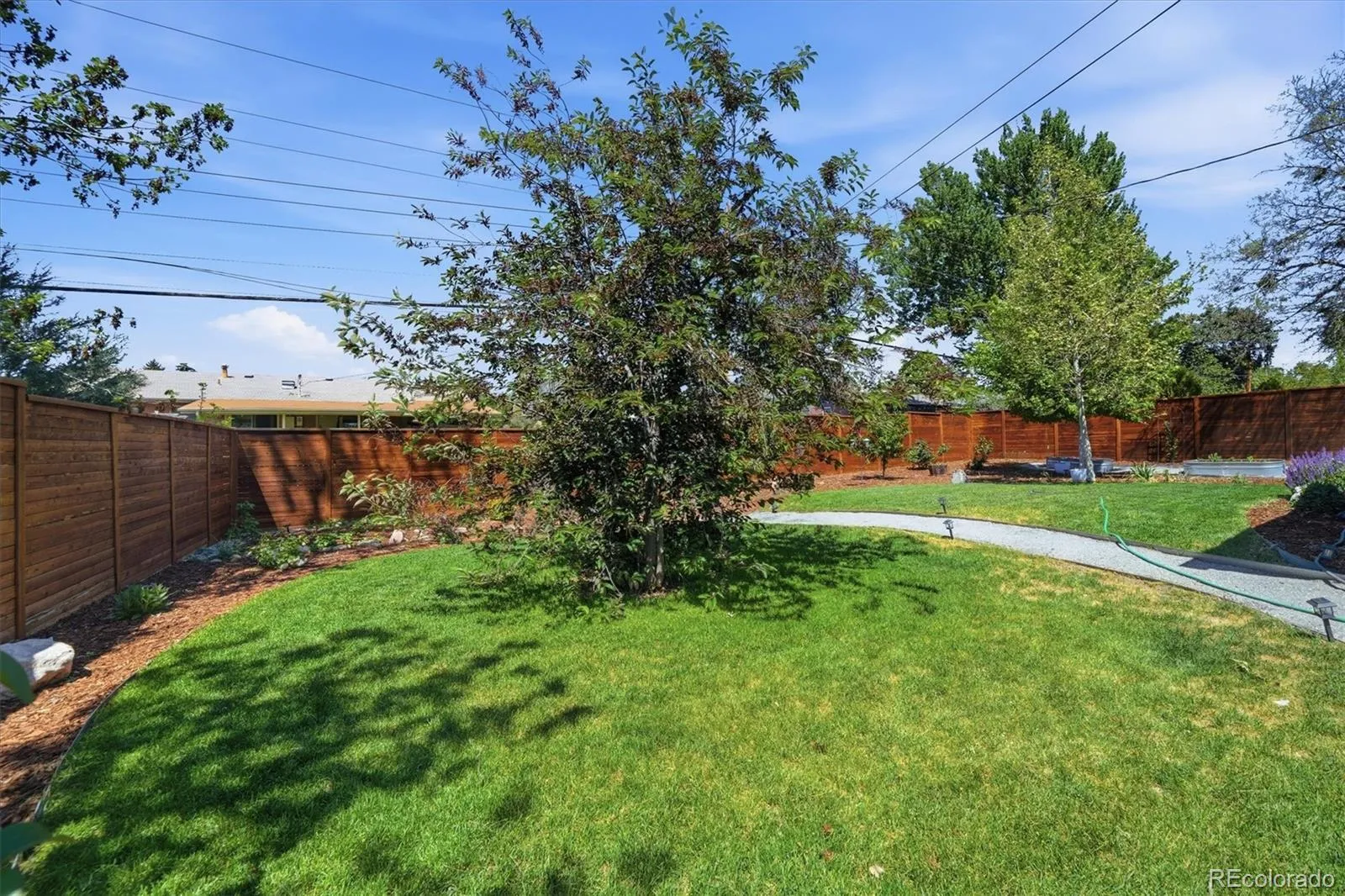 2955 S Zurich Court Denver CO 80236 MLS #REC3562827 05202026231902 1600 47