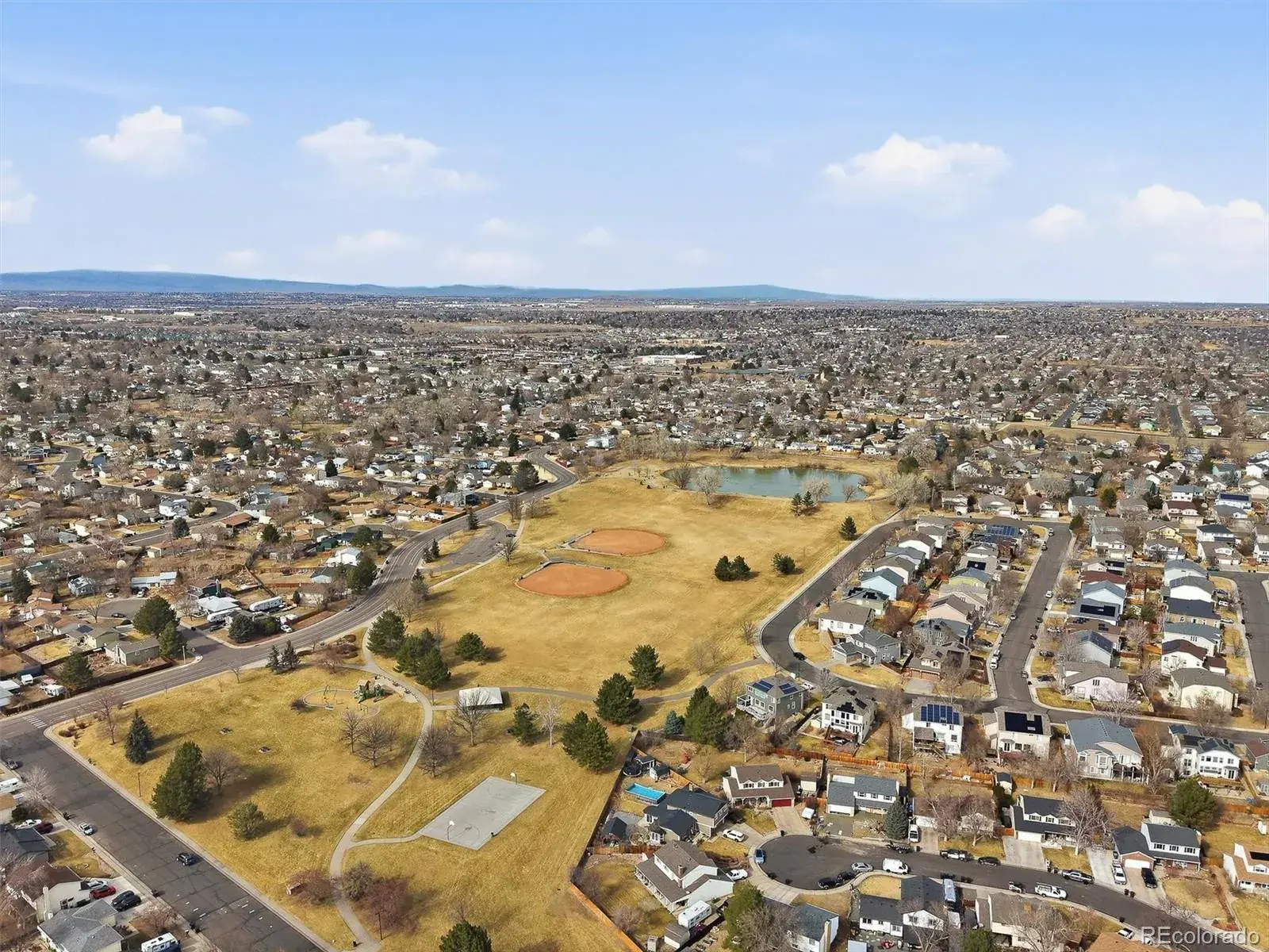 02252026185702 1600 31