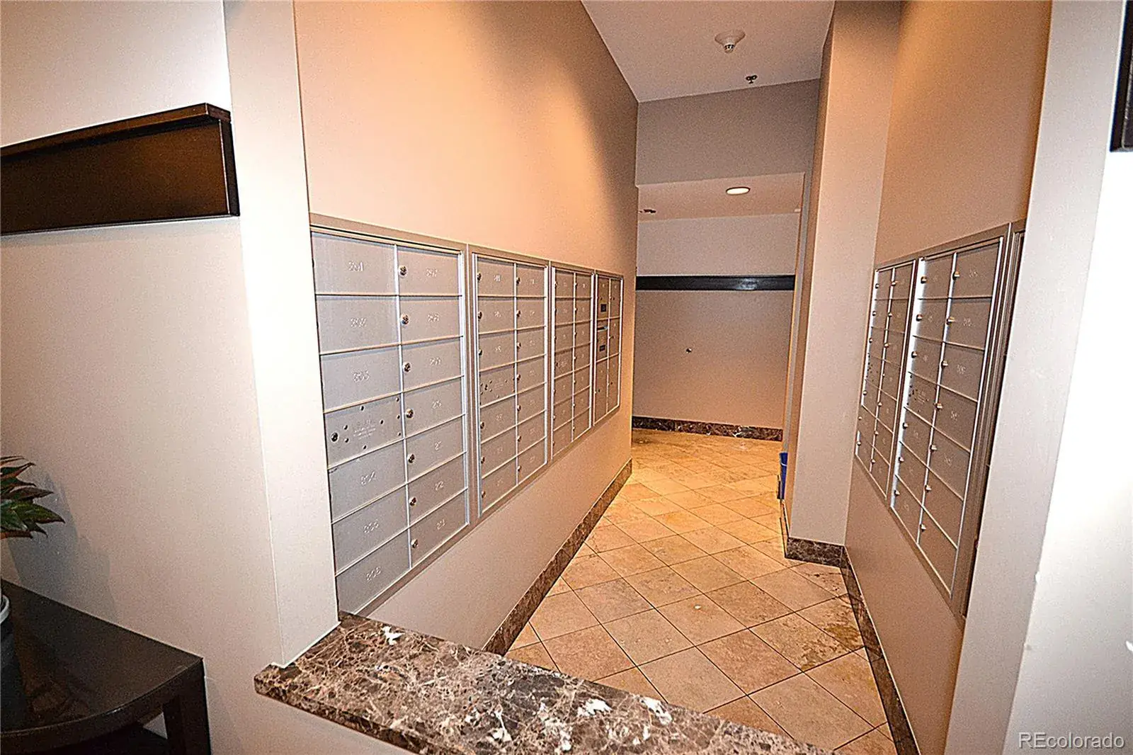 7220 W Bonfils Lane #319 Lakewood CO 80226 MLS #REC3571967 02012026184744 1600 33