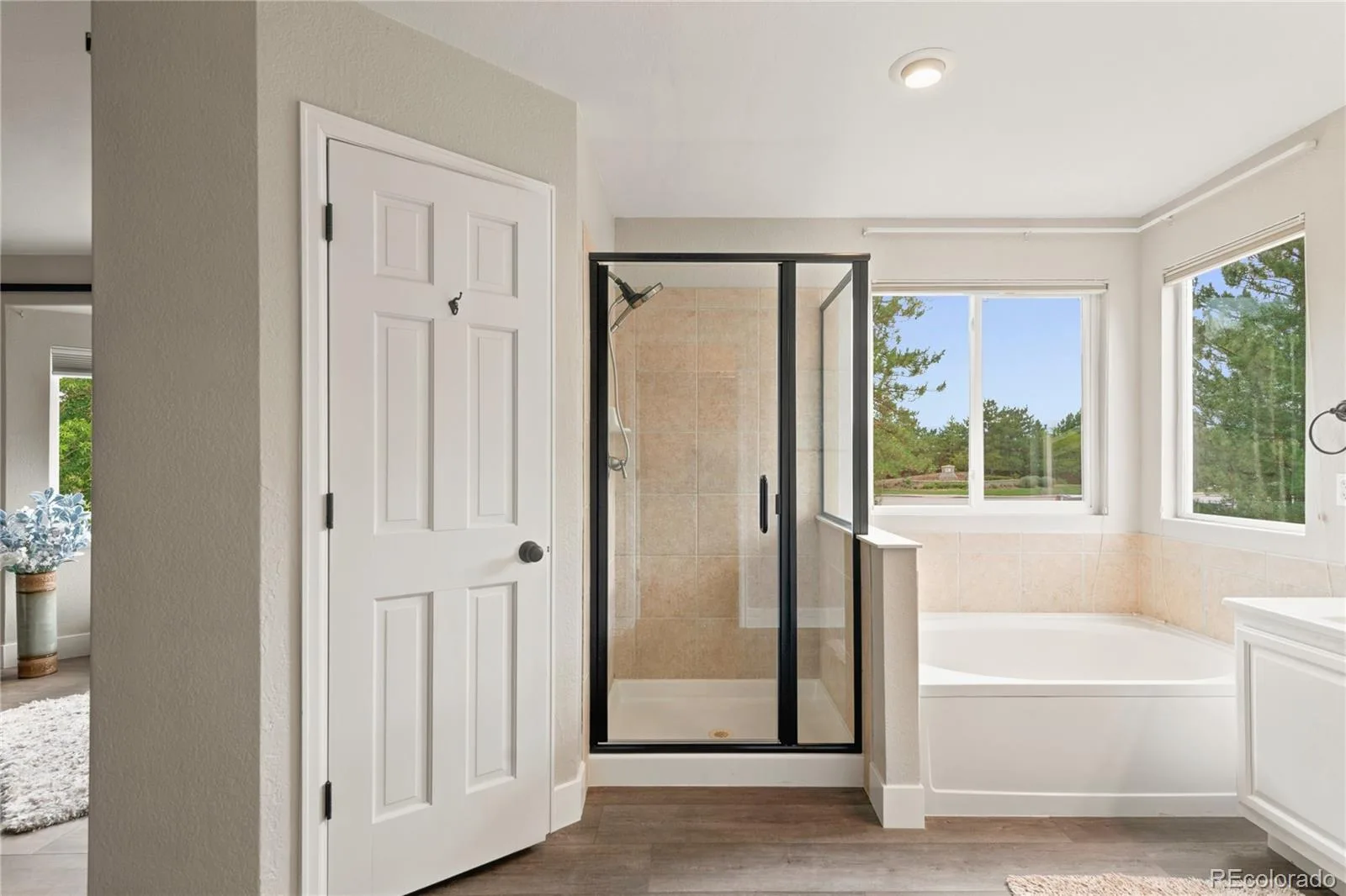 10355 Sparrow Hawk Court Highlands Ranch CO 80129 | MLS #REC3581279 08032026144124 1600 20