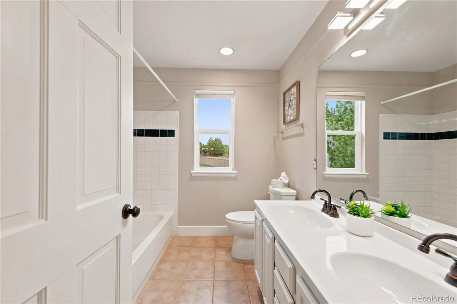 10355 Sparrow Hawk Court Highlands Ranch CO 80129 | MLS #REC3581279 08032026144124 1600 29