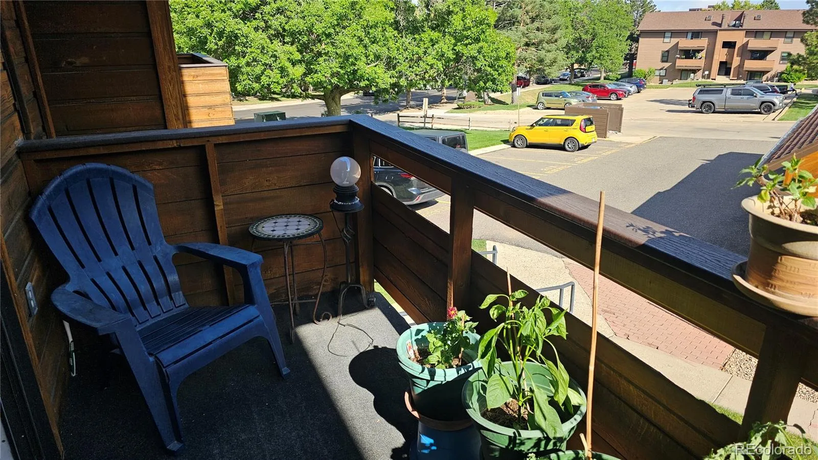331 Wright Street #203 Denver CO 80228 | MLS #REC3584754 08192026184432 1600 19