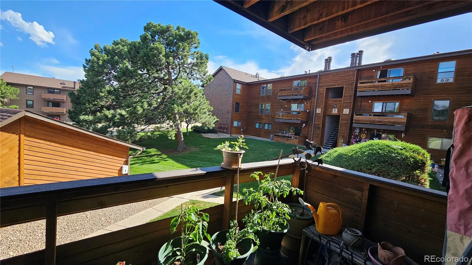 331 Wright Street #203 Denver CO 80228 | MLS #REC3584754 08192026184432 1600 21