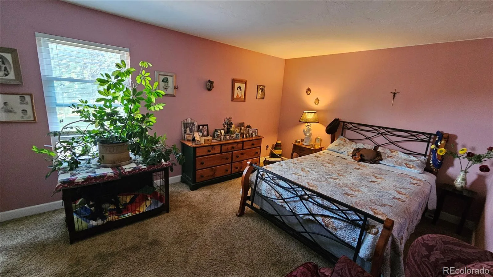 331 Wright Street #203 Denver CO 80228 | MLS #REC3584754 08192026184432 1600 9