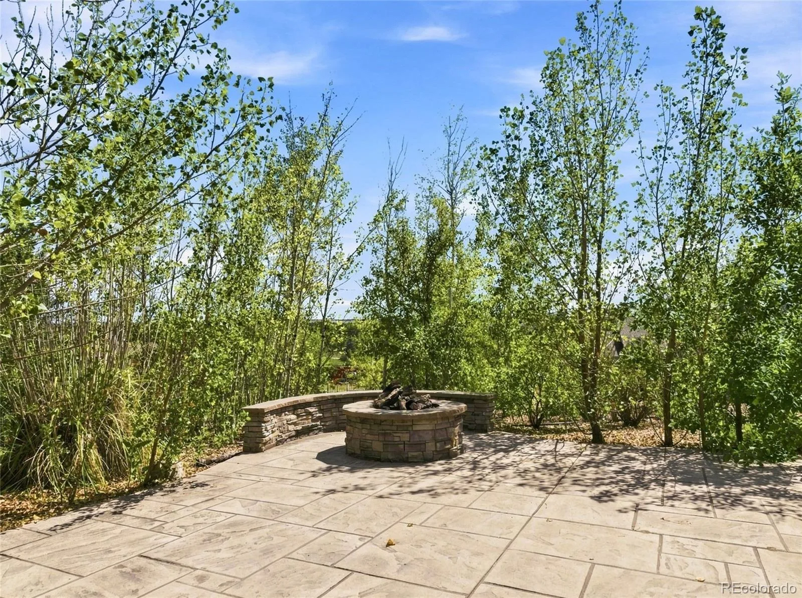 19580 E Fair Place Aurora CO 80016 | MLS #REC3589356 08212026232738 1600 5